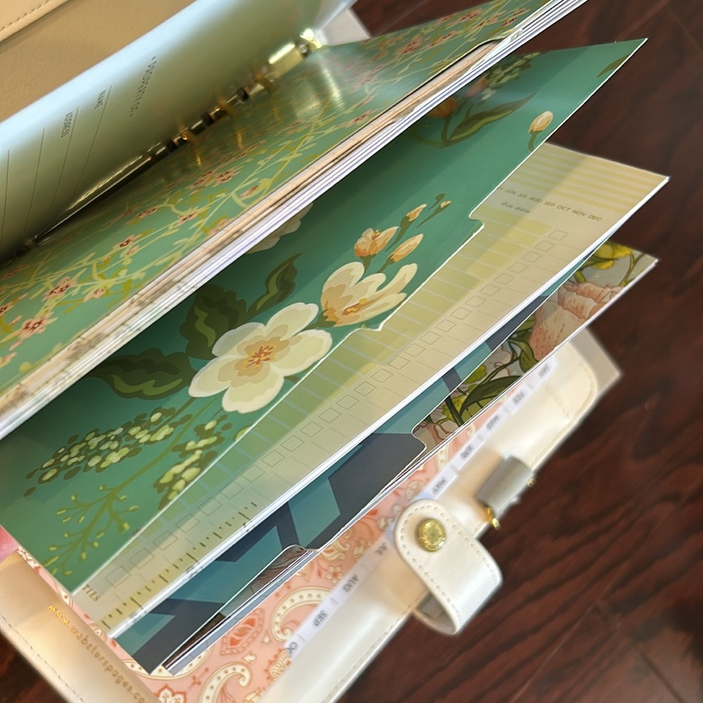 LAST ONE! Mea in box Start Any Year or Month! COMPLETE Planner Webster’s Pages